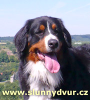 Bára 2008