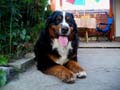 2011-09-30-3roky