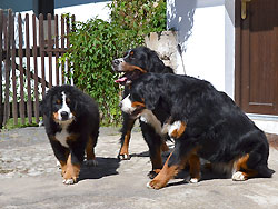 Maxmilian s mámou a Ketty