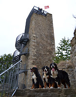 Orlík