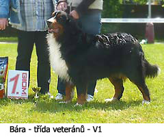 Bára V1