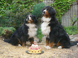 berner birthday