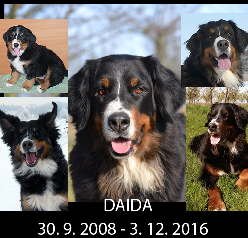 Daida ze Slunného dvora