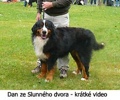 Dan ze Slunného dvora