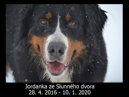 Jordanka ze Slunnho dvora