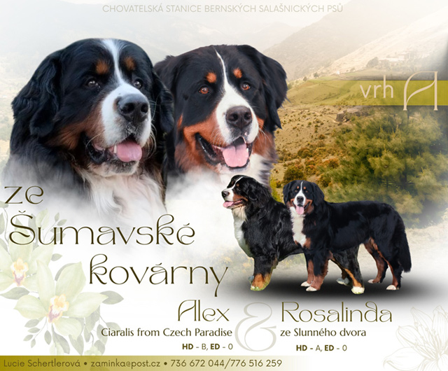 Vrh A ze Šumavské kovárny