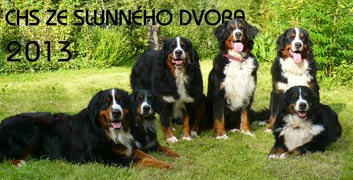 Klaendář CHS ze Sluného dvora