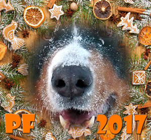 PF 2017 CHS Ze Slunného dvora