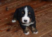 Toby5
